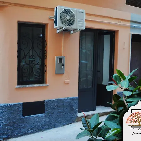 La Jacaranda Rooms-2